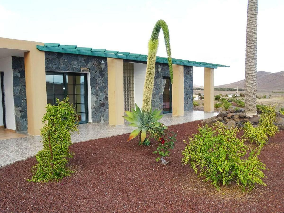 Finca Palmeras 1 Lajita Exteriér fotografie